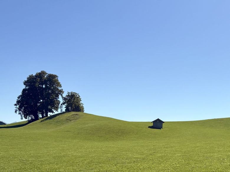 Grüne Hügelwiese mit Baum und Stadel im Allgäu