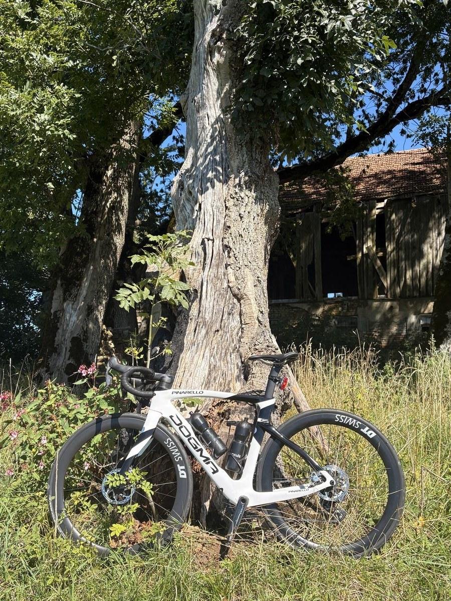 Rennrad an einem alten Baum im Unterallgäu